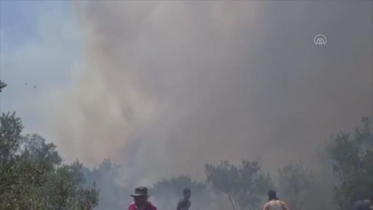 Son dakika haberleri: (DRONE) Orman yangını kontrol altına alındı